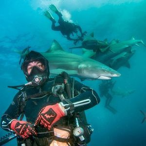 Meet your Posher, Fernando